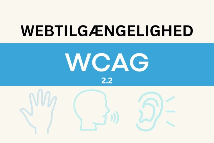 Indexed Webtilgængelighed